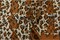 Large Cheetah Cotton Print 100 Percent Cotton Animal Print Fabric 58 60 Inch Wide